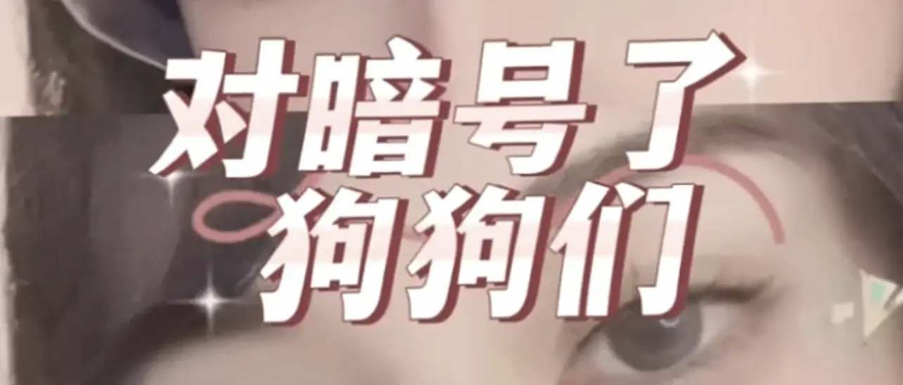 西檬之家-ddlg是什么？字母圈新人常见术语解析
