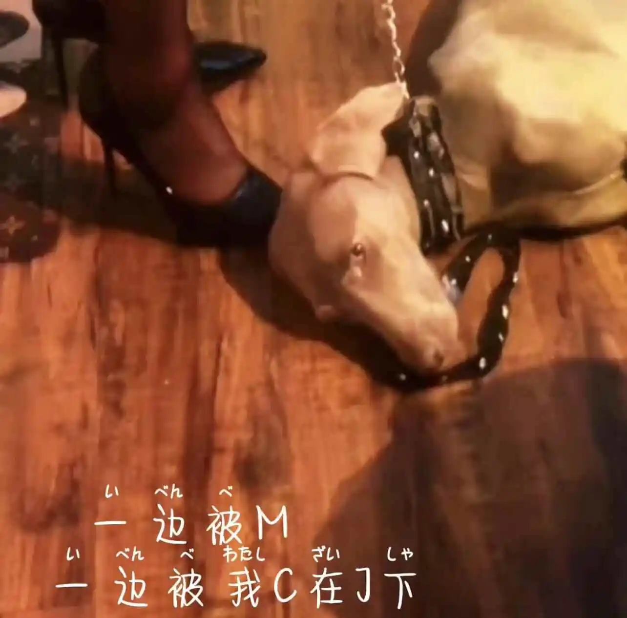 西檬之家-BDSM入门：字母圈新人必读的OTK与核心术语指南