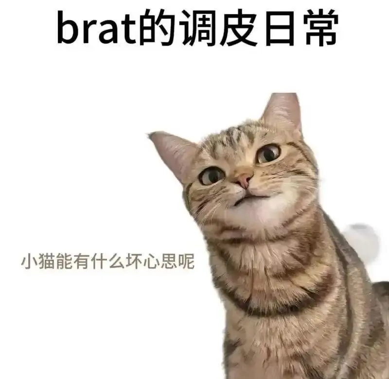 DT - 微信图片_20251203212836_109_19