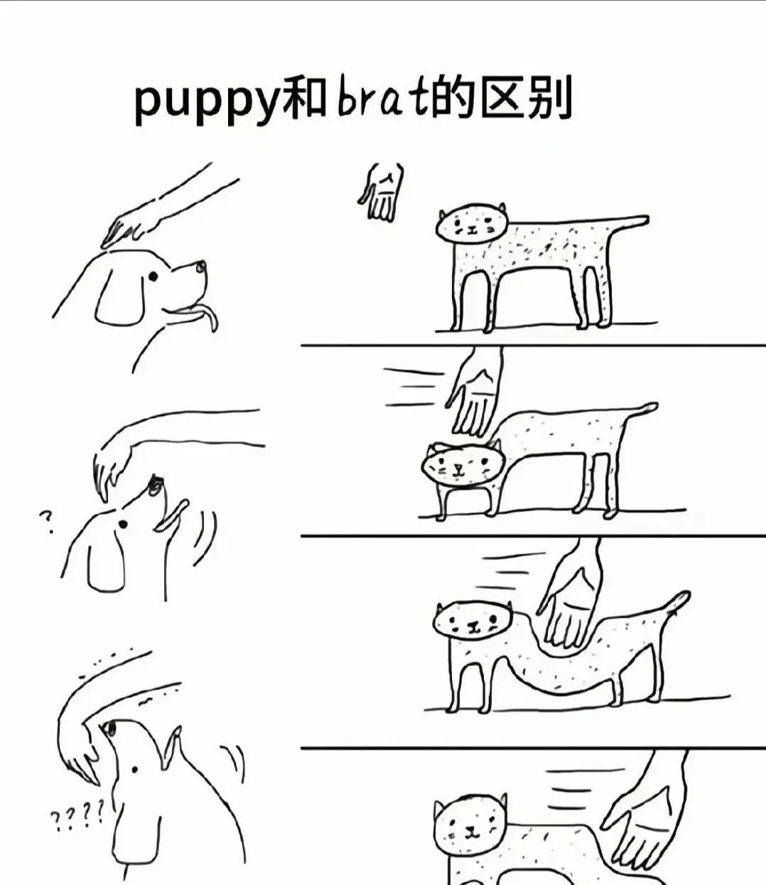 【西檬之家】字母圈新人如何理解DS关系？入门必看指南