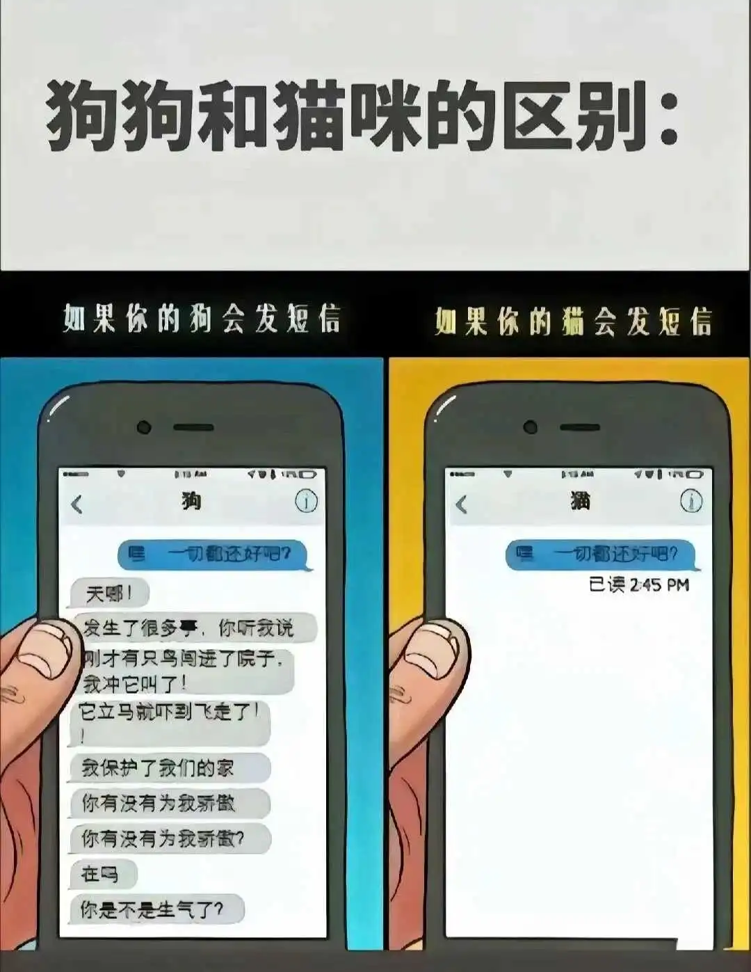 西檬之家-字母圈术语解析：恋足、踩踏与SSC安全原则
