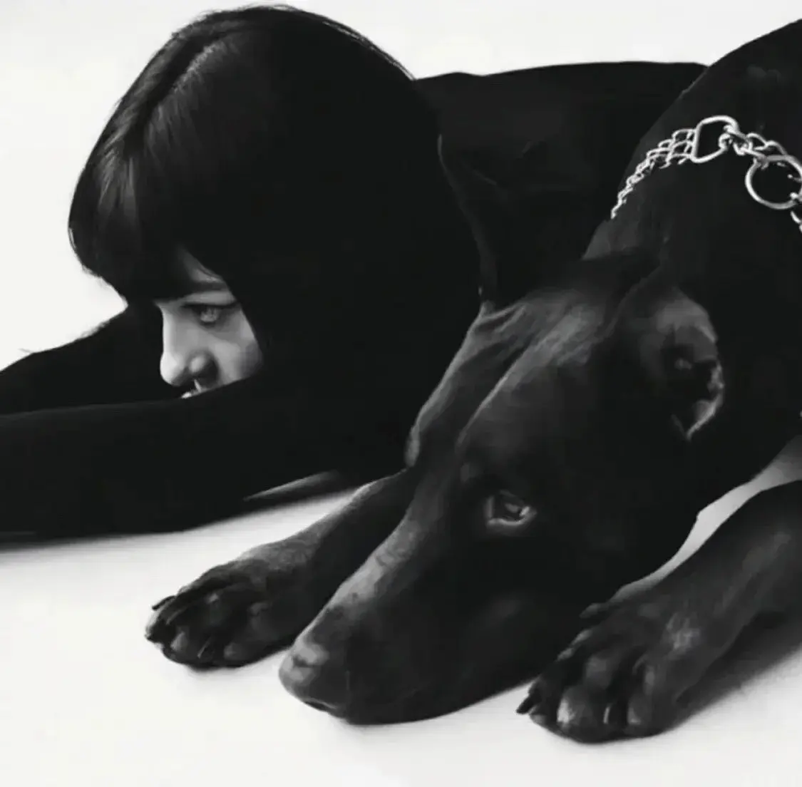 S - 2025-11-13 235316