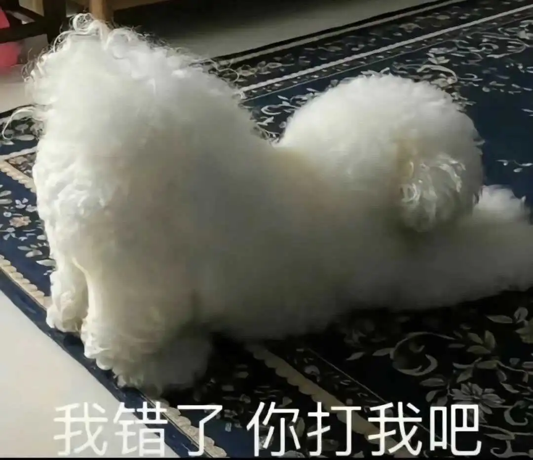 字母圈 - 2023_12_05_21_26_IMG_9543