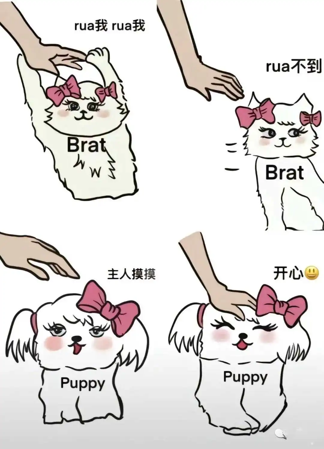 【西檬之家】大圈是什么意思？BDSM字母圈新人权威入圈指南